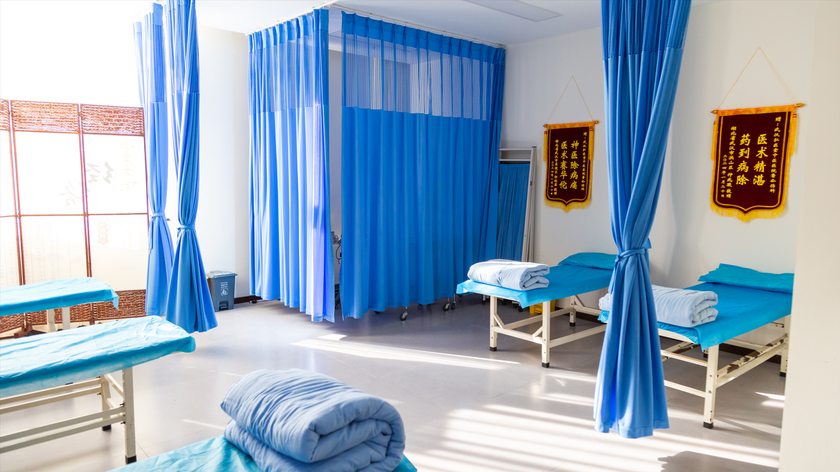 国医大师  李佃贵  教授